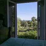 Clara *