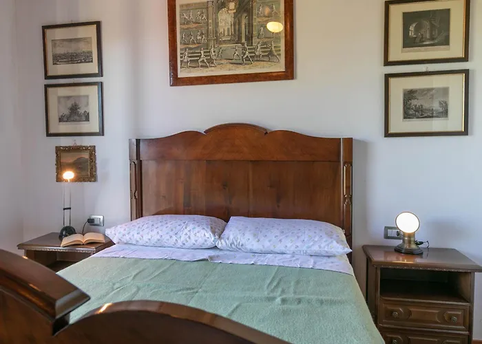 Clara Тертения