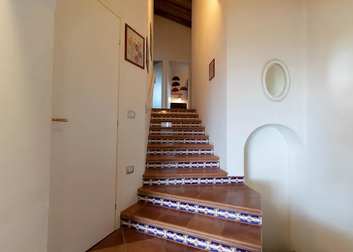 Clara Тертения