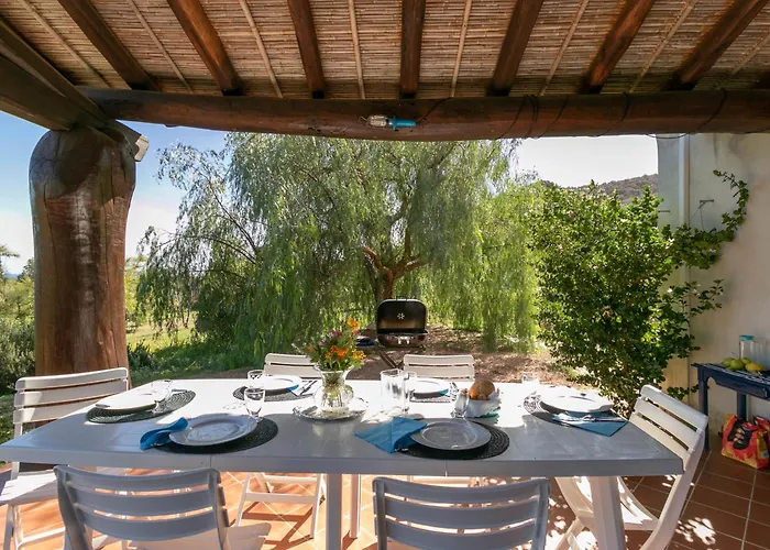 Clara Тертения