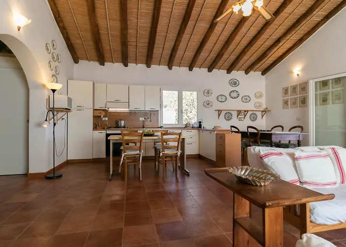 Clara Тертения