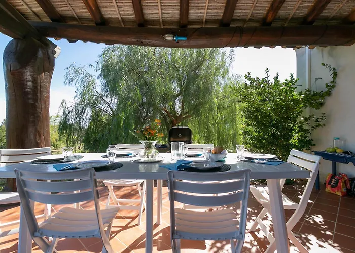 Clara Тертения